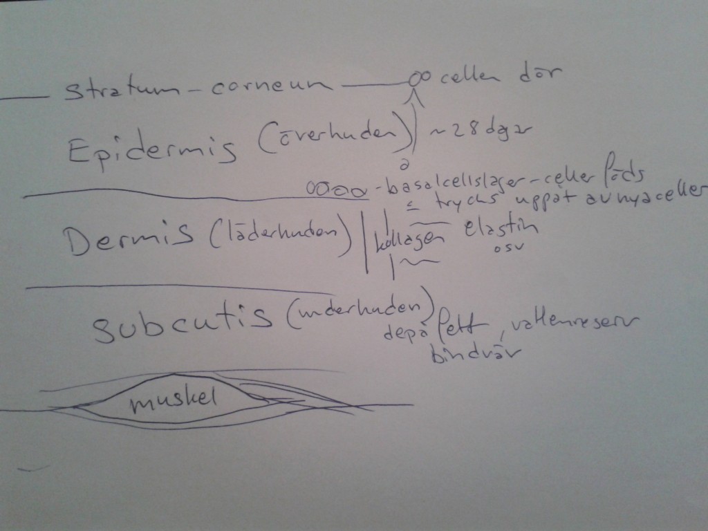 2013-10-23 16.53.52
