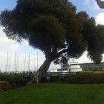  Fisherman's Wharf, San Francisco.